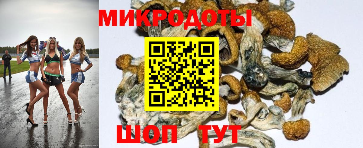 Нефтекумск  Псилоцибиновые грибы Psilocybine cubensis  Вход с VPN  Галлюциногенные грибы GOLDEN TEACHER 