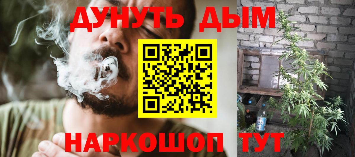 Конопля White Widow  Канабис Bruce Banner  Марихуана конопля  Вход с VPN  Нефтекумск  Бошки Шишки гибрид 